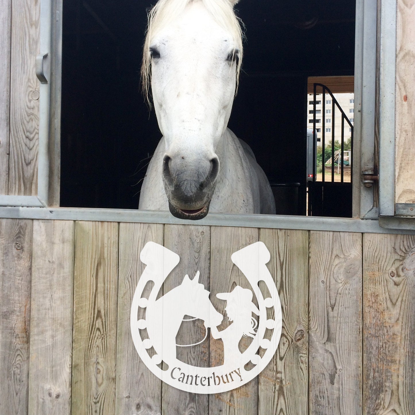 Custom Equestrian Metal Wall Art - Girl and Horse Horseshoe Decor