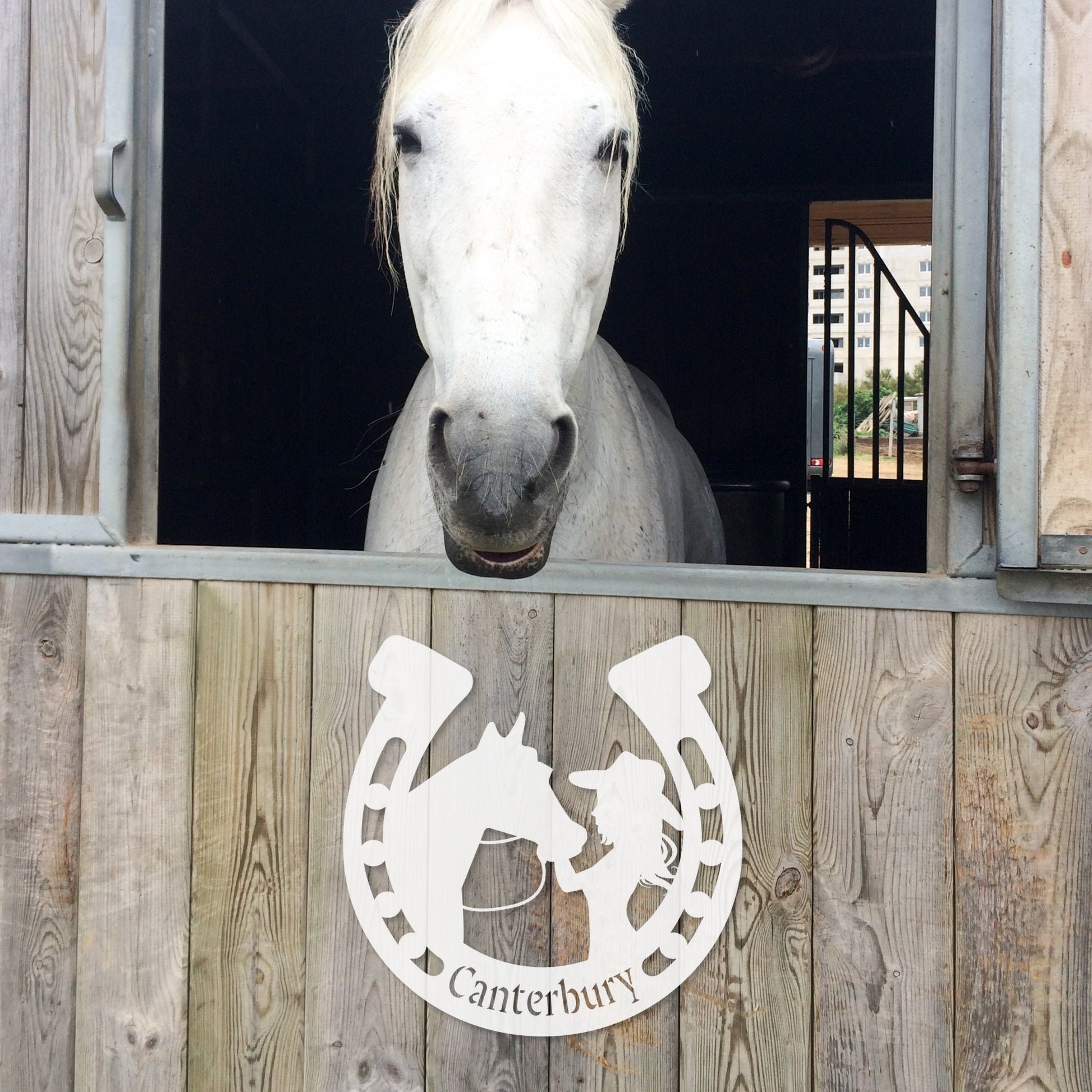 Custom Equestrian Metal Wall Art - Girl and Horse Horseshoe Decor