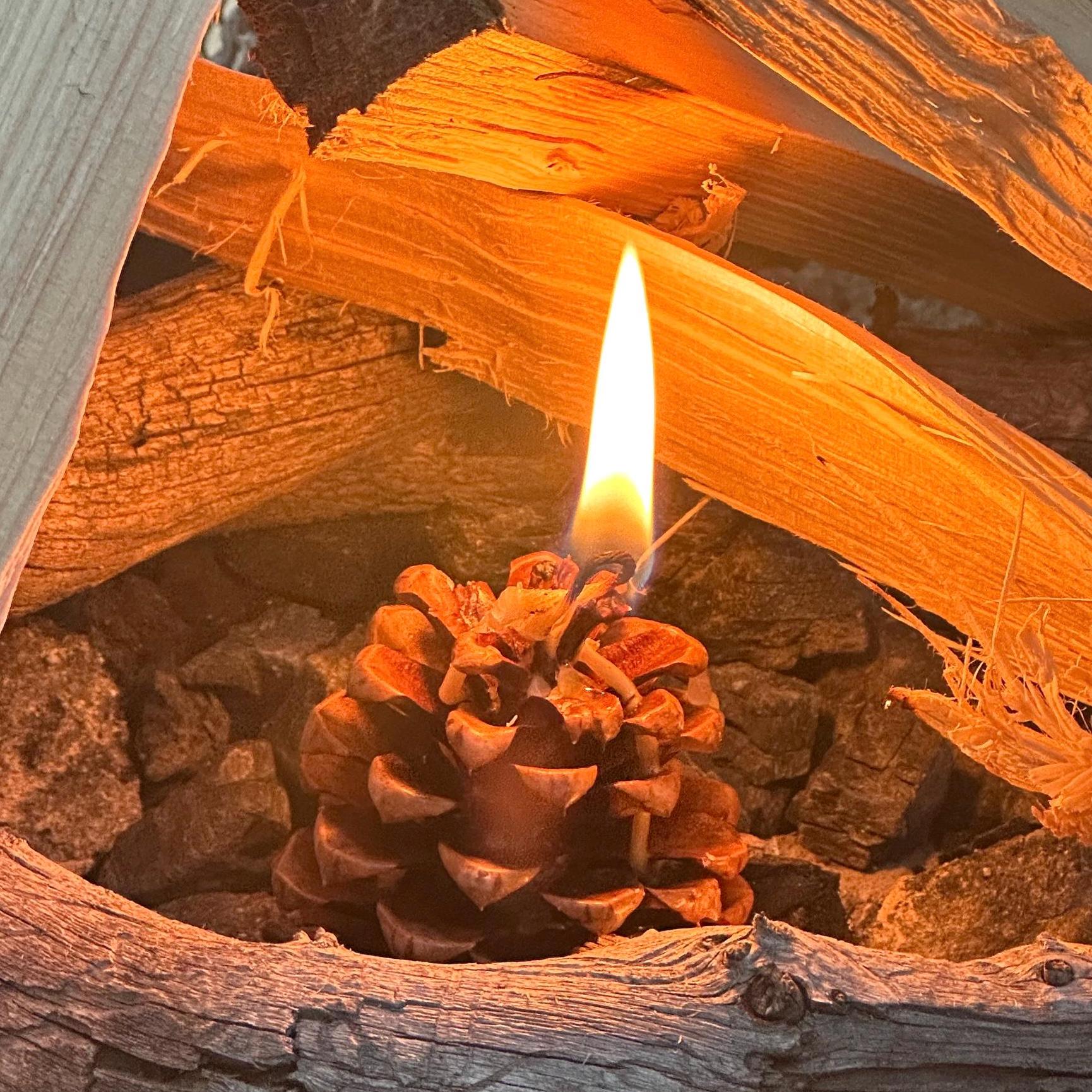 Pinecone Fire Starter - Perfect for Wood Burning Fire Pits, Campfires, Fireplaces and Bonfires, Gift for Home, Cabin, Camping and Hunting