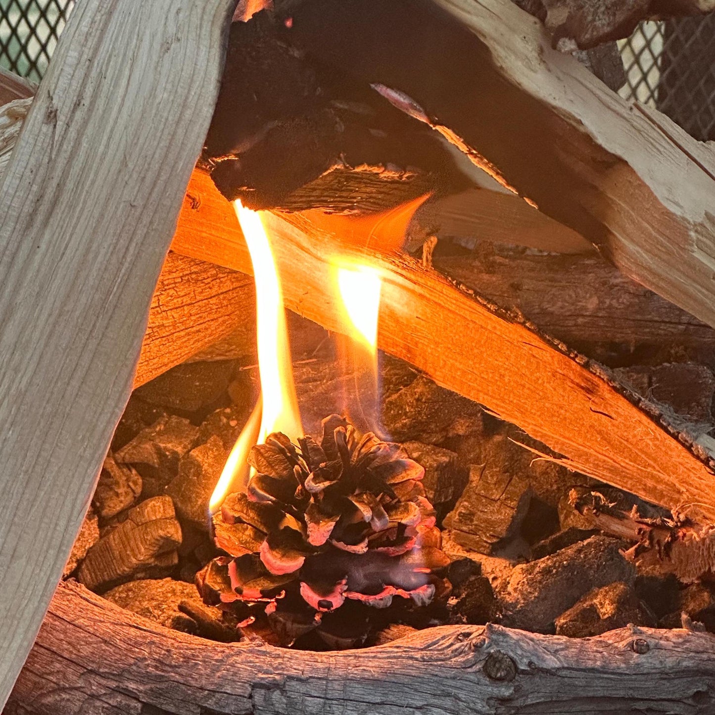 Pinecone Fire Starter - Perfect for Wood Burning Fire Pits, Campfires, Fireplaces and Bonfires, Gift for Home, Cabin, Camping and Hunting