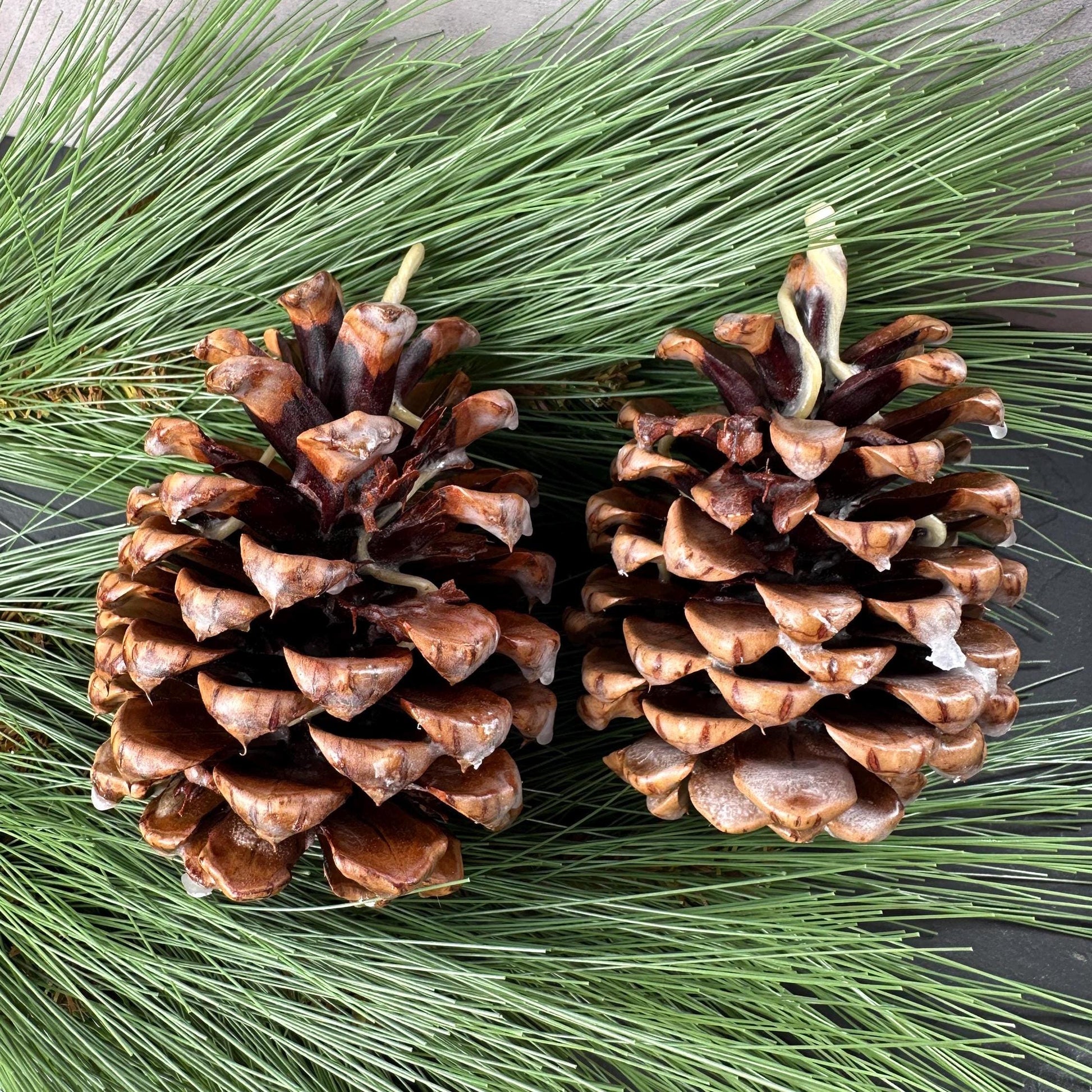 Pinecone Fire Starter - Perfect for Wood Burning Fire Pits, Campfires, Fireplaces and Bonfires, Gift for Home, Cabin, Camping and Hunting