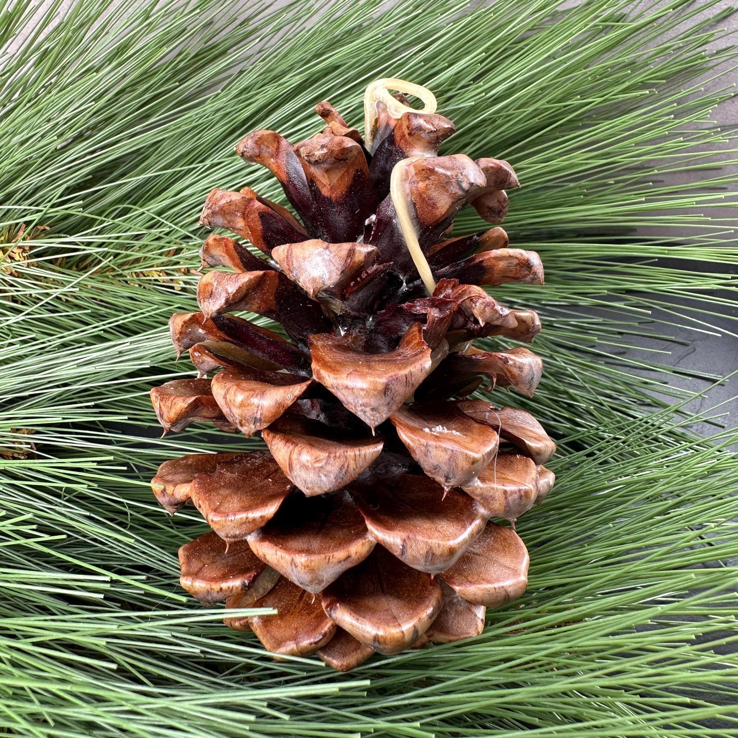 Pinecone Fire Starter - Perfect for Wood Burning Fire Pits, Campfires, Fireplaces and Bonfires, Gift for Home, Cabin, Camping and Hunting