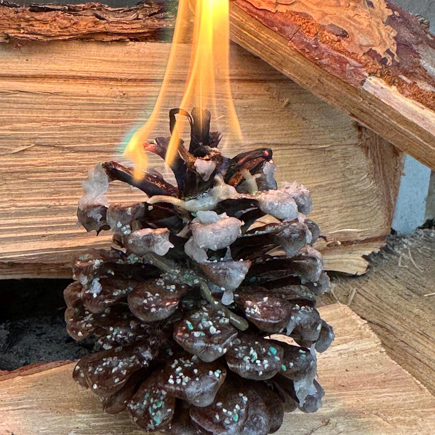 Pinecone Fire Starter - Perfect for Wood Burning Fire Pits, Campfires, Fireplaces and Bonfires, Gift for Home, Cabin, Camping and Hunting