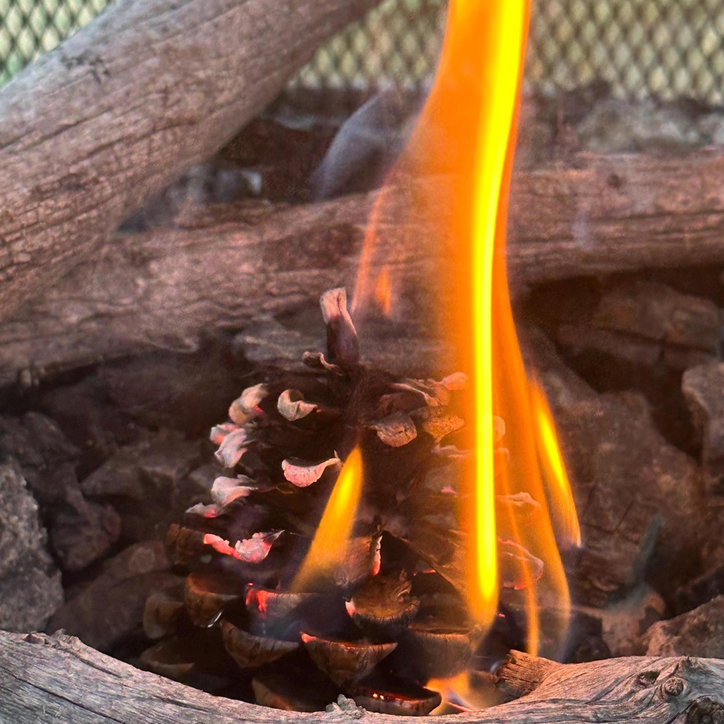Pinecone Fire Starter - Perfect for Wood Burning Fire Pits, Campfires, Fireplaces and Bonfires, Gift for Home, Cabin, Camping and Hunting
