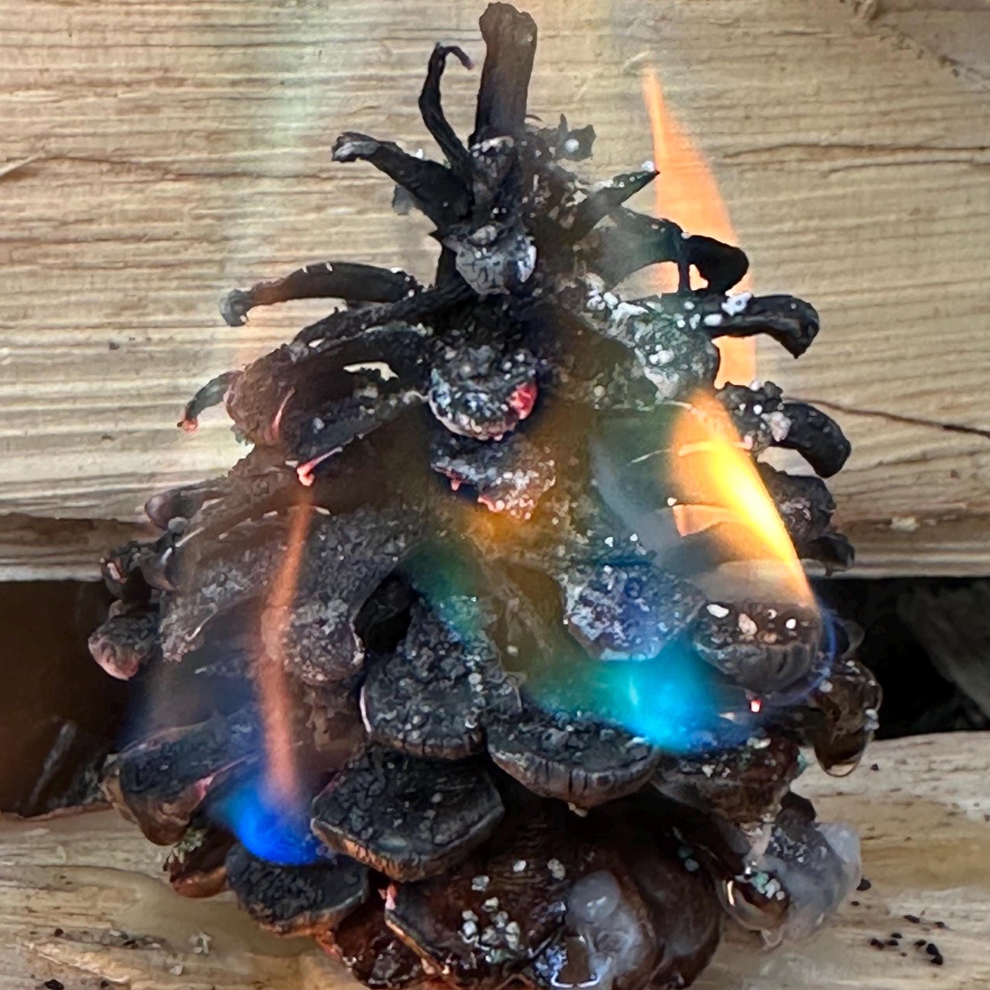 Pinecone Fire Starter - Perfect for Wood Burning Fire Pits, Campfires, Fireplaces and Bonfires, Gift for Home, Cabin, Camping and Hunting