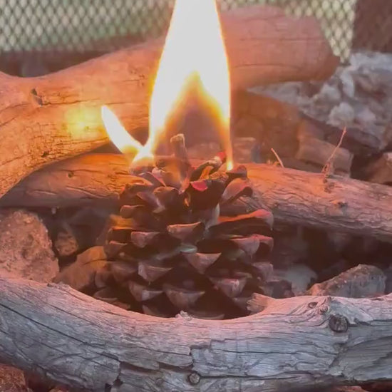 Handmade Pinecone Fire Starter - Paraffin Wax Dipped, Cabin Gift