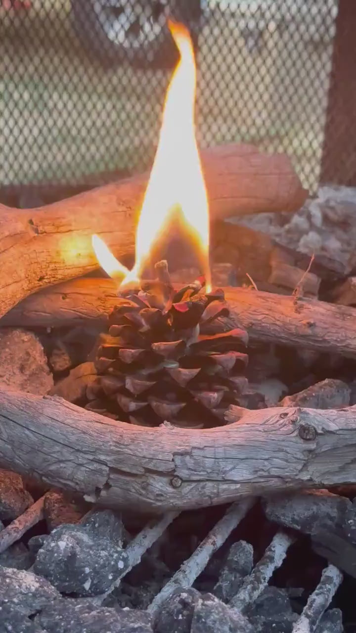 Handmade Pinecone Fire Starter - Paraffin Wax Dipped, Cabin Gift